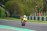 Advanced Group Yellow Bikes